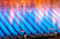 Llangadfan gas fired boilers